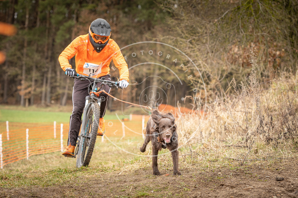 DV3A0941 | Hundefotografie, Tierfotograf, Pfotenfotografie, Fotoshooting Hund, Hunde Portrait, Hundesport, Hundeportraits, Heideshooting, Hunde, Sportfotograf, Hundefotograf, Turnierhundsport, THS,  - Realisiert mit Pictrs.com