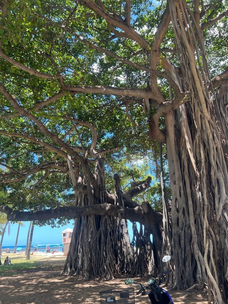 IMG_7663 | ace - Realisiert mit Pictrs.com