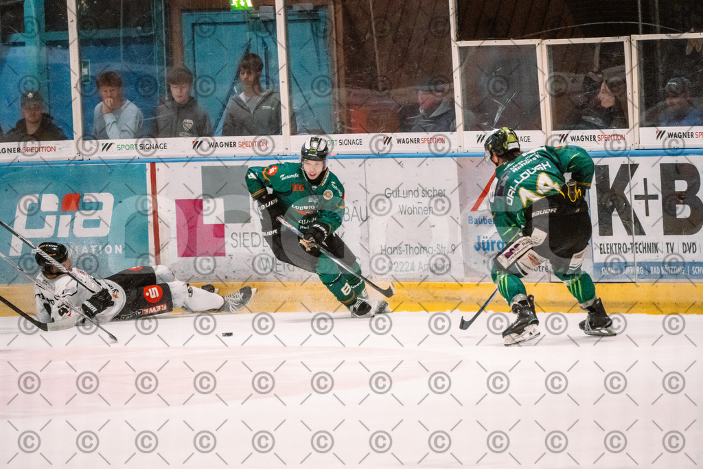 Alligators_vs_Erfurt_06_09_2026-42 | Die Fotogalerie von Daddel: professionelle Bilder von Sport, Events und Unternehmen aus Franken. Jetzt Galerien durchstöbern und Lieblingsfotos bestellen. - Realisiert mit Pictrs.com