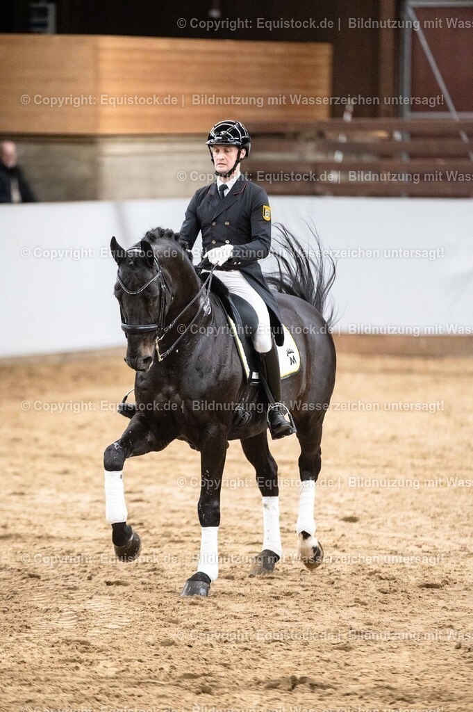 20260307_Hengstvorstellung-Marbach_0513 | equistock