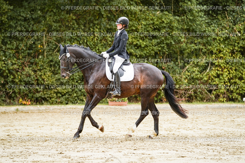 DSC04016 | Pferdegrafie