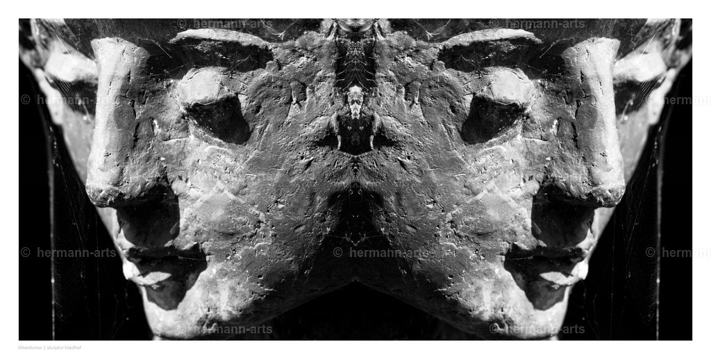 Hermann-Arts_Spiegelbilder_036 | Photo Foto Kunst Art schwarzweiss Bilder Rheine Münster Berlin Blumen 
