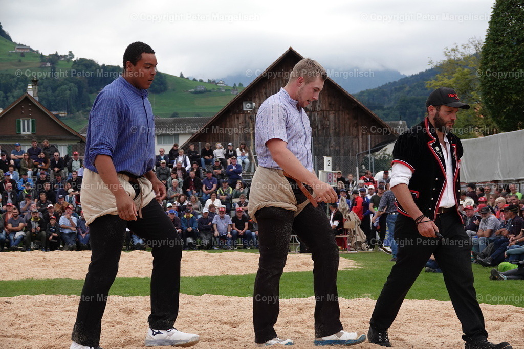 DSC02040 | Schwingen - Realisiert mit Pictrs.com