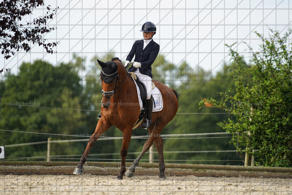 20230826-FAH04562 | Forstinning, 2023, Dressurturnier, Turniersportbilder, Turnierfotografen Bayern, Fotoagentur Herrmann, Reitsportfotografie, Turnierbilder