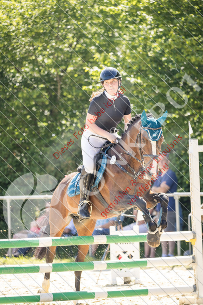 IMG_3466 | Sport-, Event- und Tierfotos in Profiqualität. Einfach auswählen, bestellen und herunterladen. Dein Moment – perfekt festgehalten.