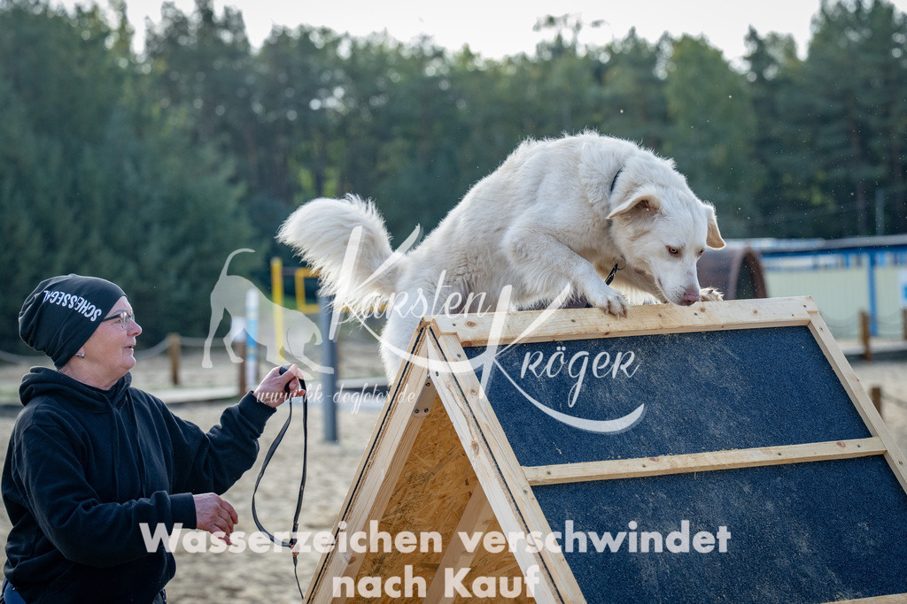 0945_ZZ92732 | kk-dogfotos