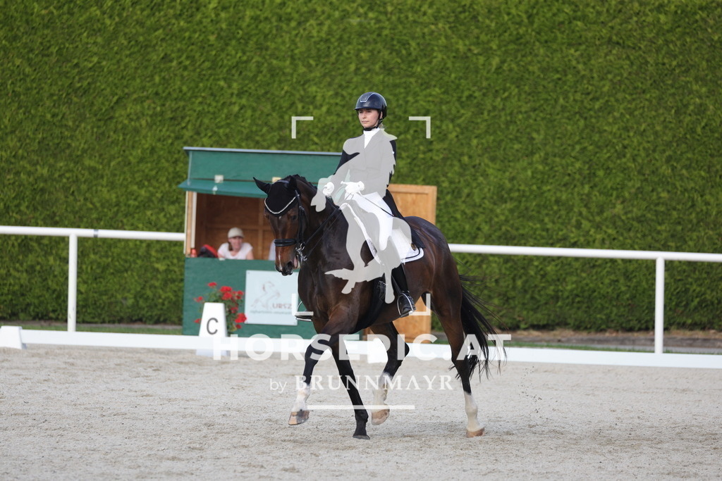 0P6A4281 | Willkommen bei Brunnmayr - Design & Fotografie – Ihrem Spezialisten für Reitturniere und Pferdeveranstaltungen in Oberösterreich, Salzburg und Bayern! Seit über 17 Jahren sind wir leidenschaftlich dabei.