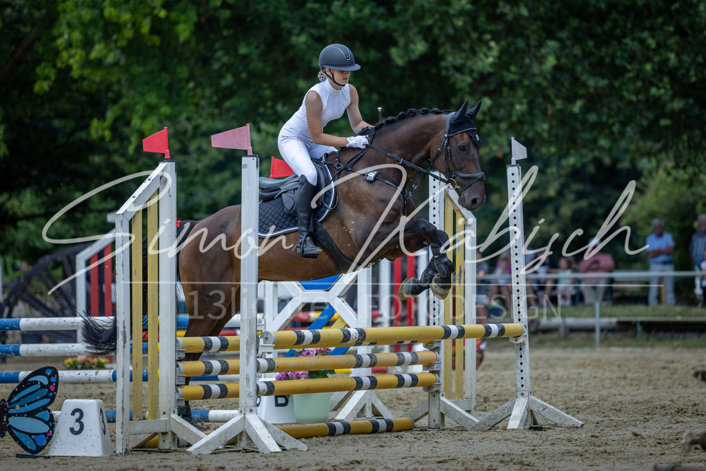 20260704-_3LI8837 | Tierfotografie Pferde, Hunde, Katzen, Haustiere.
Turnierfotografie Reitturniere, Reiten, Springreiten, Dressur in Hanau, dem Main-Kinzig-Kreis und dem Rhein-Main- Gebiet um Frankfurt