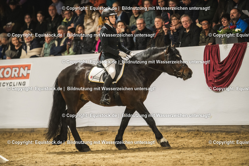 20240302_Hengstvorstellung_Marbach_TOMsPiC_0280 | equistock