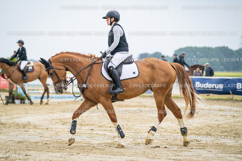 DSC01956 | Pferdegrafie