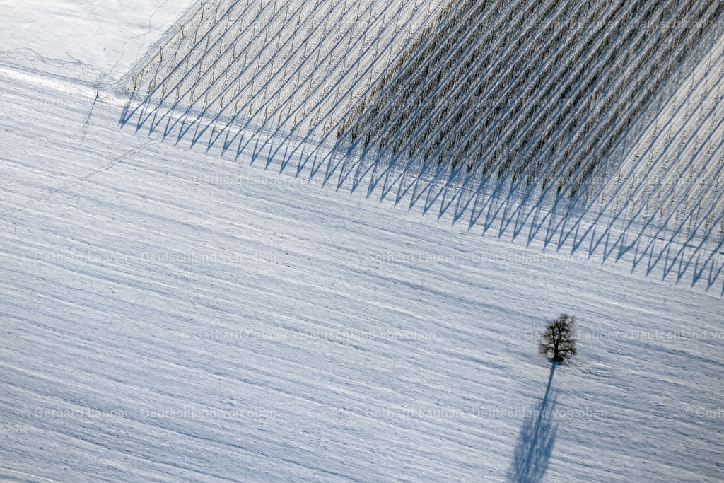 4043090 | Baum-und Feldstrukturen im Winter bei Zweiflingen