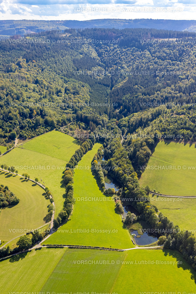 Schmallenberg220903893 | , Luftbild, ÃƒÆ’Ã†â€™Ãƒâ€ Ã¢â‚¬â„¢ÃƒÆ’Ã¢â‚¬Å¡Ãƒâ€šÃ‚Â¢ÃƒÆ’Ã†â€™Ãƒâ€šÃ‚Â¢ÃƒÆ’Ã‚Â¢ÃƒÂ¢Ã¢â‚¬Å¡Ã‚Â¬Ãƒâ€¦Ã‚Â¡ÃƒÆ’Ã¢â‚¬Å¡Ãƒâ€šÃ‚Â¬ÃƒÆ’Ã†â€™ÃƒÂ¢Ã¢â€šÂ¬Ã‚Â¦ÃƒÆ’Ã¢â‚¬Å¡Ãƒâ€šÃ‚Â¾Ãœber den TeichenÃƒÆ’Ã†â€™Ãƒâ€ Ã¢â‚¬â„¢ÃƒÆ’Ã¢â‚¬Å¡Ãƒâ€šÃ‚Â¢ÃƒÆ’Ã†â€™Ãƒâ€šÃ‚Â¢ÃƒÆ’Ã‚Â¢ÃƒÂ¢Ã¢â‚¬Å¡Ã‚Â¬Ãƒâ€¦Ã‚Â¡ÃƒÆ’Ã¢â‚¬Å¡Ãƒâ€šÃ‚Â¬ÃƒÆ’Ã†â€™ÃƒÂ¢Ã¢â€šÂ¬Ã‚Â¦ÃƒÆ’Ã‚Â¢ÃƒÂ¢Ã¢â‚¬Å¡Ã‚Â¬Ãƒâ€¦Ã¢â‚¬Å“ am WaldSkulpturenWeg beim MÃ¼hlenteich, Grafschaft, Schmallenberg, Sauerland, Nordrhein-Westfalen, Deutschland