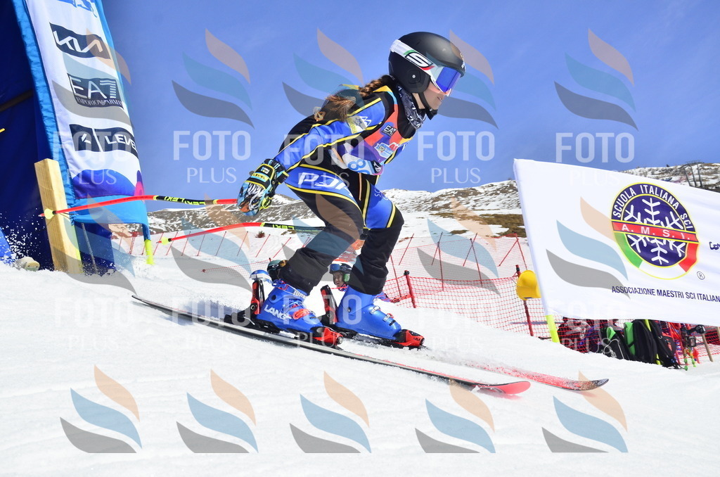 _ELE0448 | holidayphoto