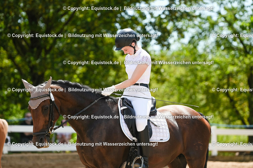 20230715_09_Dressur-WB_0241 | equistock