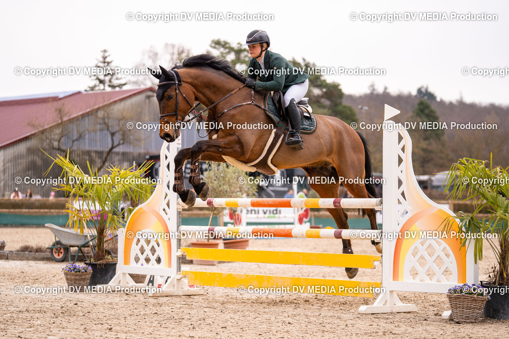 Kranichstein Tag 2-481 | dv-media-shop - Realisiert mit Pictrs.com