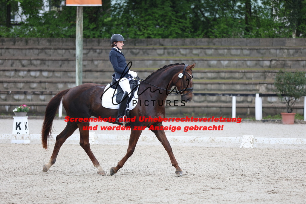 A40A8731 | lmwpictures - Realisiert mit Pictrs.com