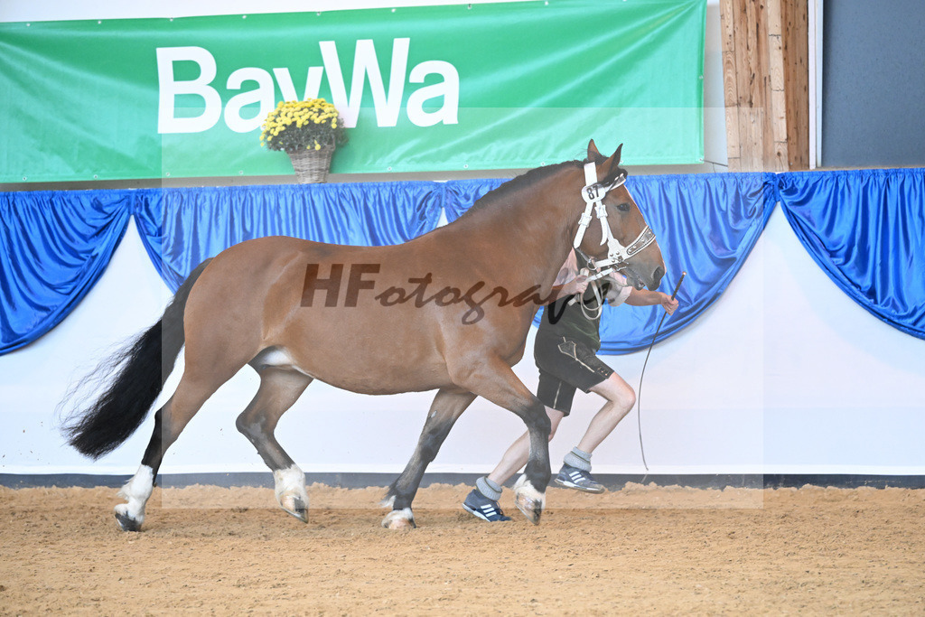 Kat-Nr. 87 Nanda_Langlechner_53220491 | hf-fotografie - Realisiert mit Pictrs.com