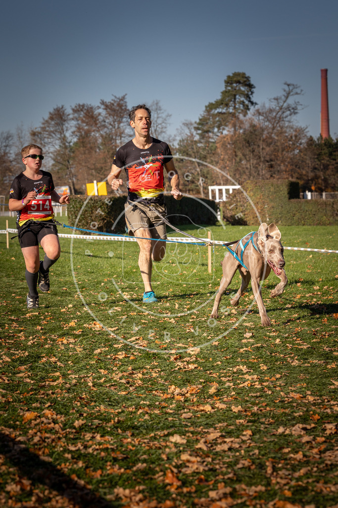 CaniXpix_0L8A6928 | Hundefotografie, Tierfotograf, Pfotenfotografie, Fotoshooting Hund, Hunde Portrait, Hundesport, Hundeportraits, Heideshooting, Hunde, Sportfotograf, Hundefotograf, Turnierhundsport, THS,  - Realisiert mit Pictrs.com