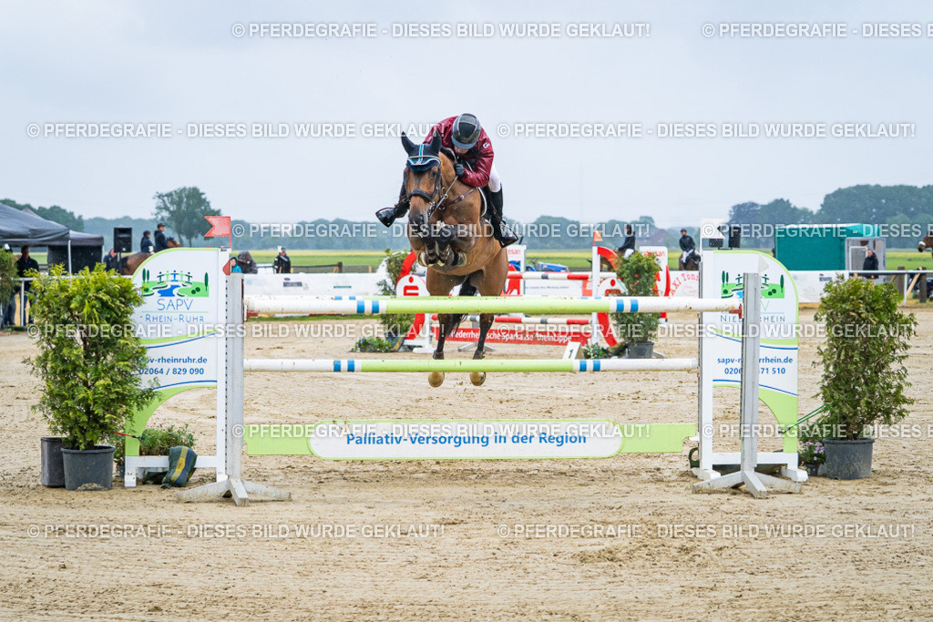 DSC09890 | Pferdegrafie