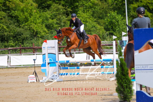 DKP41383 | Turniersportfotografie; Pferdefotografie; Dressurfotografie