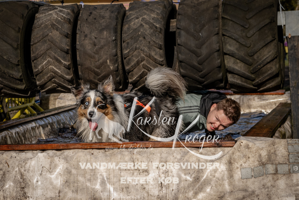 1342_ZZ92845 | kk-dogfotos