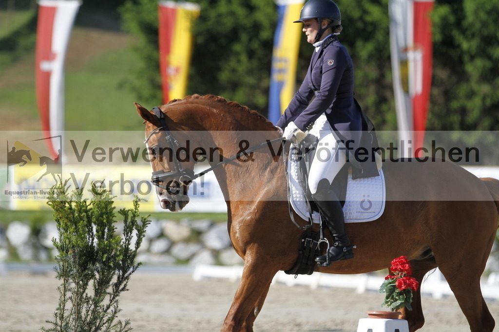 _MG_3239 | equestrian-live-com