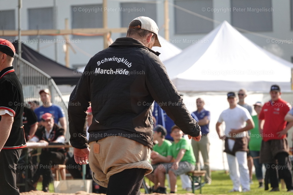 DSC04452 | Schwingen - Realisiert mit Pictrs.com