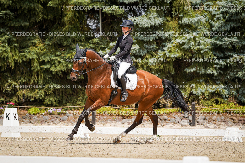 DSC02363 | Pferdegrafie