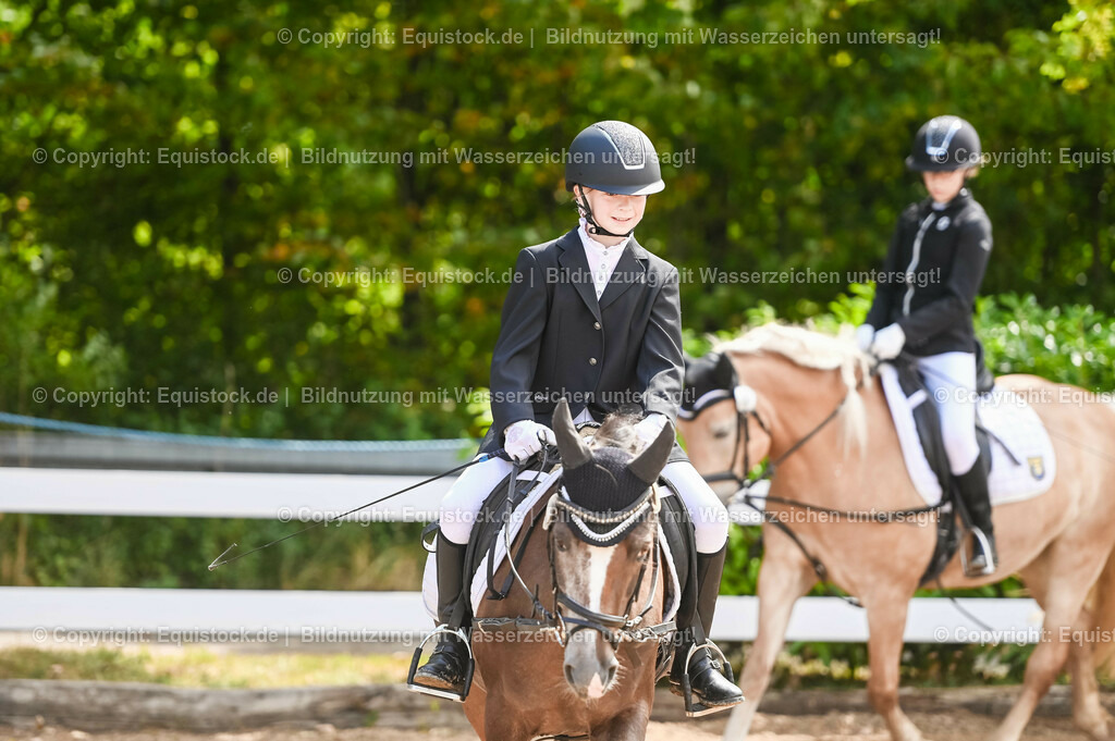 20230716_10-3_Reiter-WB Schritt - Trab - Galopp_0004 | equistock