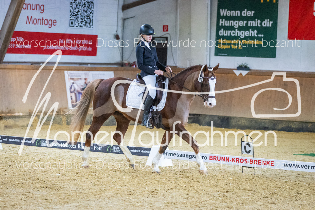 Sth-WBO25-EDr-060 | MomenTaufnahmen Pferdesportfotos