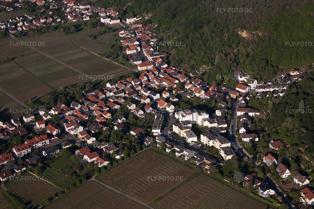 Luftbild: Dorfansicht im Ortsteil Haardt in Neustadt im Bundesland Rheinland-Pfalz in Deutschland. Foto: IMG_64656.jpg vom 04.05.2014 durch Werner Riehm/FLY-FOTO.de