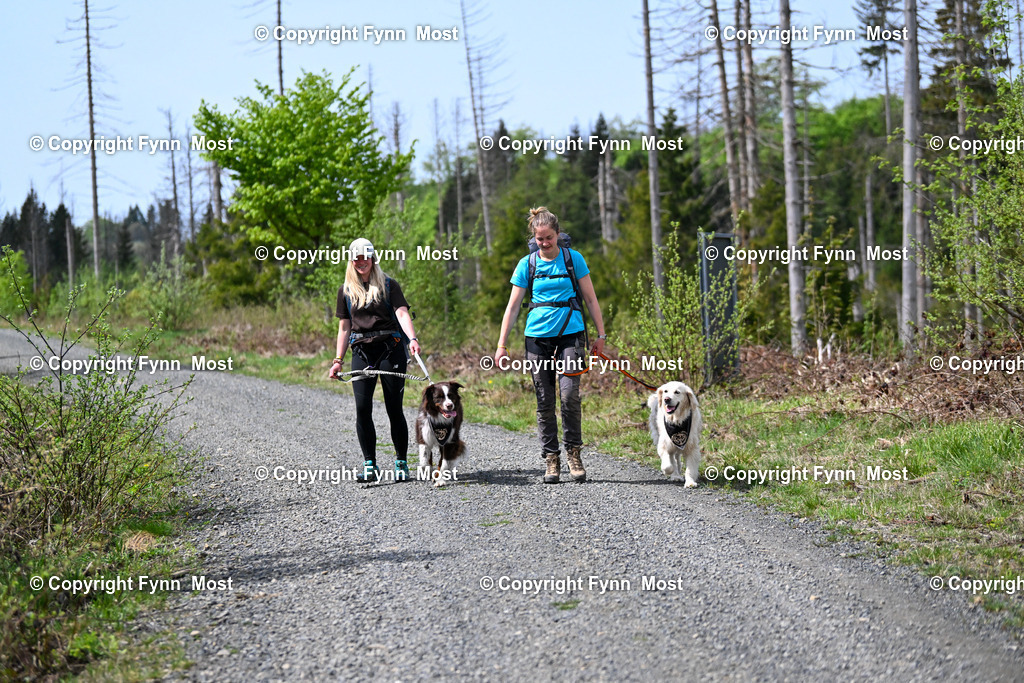 DSC_3988 | Hallo und herzlich Willkommen auf meiner Shop-Seite Fynn Most.

Ich wünsche Dir viel Spaß beim stöbern durch die Bilder, wenn Du Fragen hast oder Bilder vermisst, kannst du mir gerne eine Nachricht schreiben. - Realisiert mit Pictrs.com