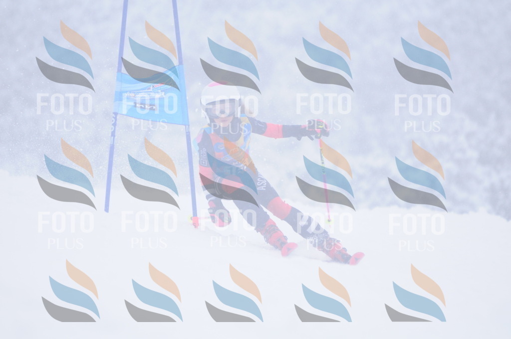 C1949 | holidayphoto