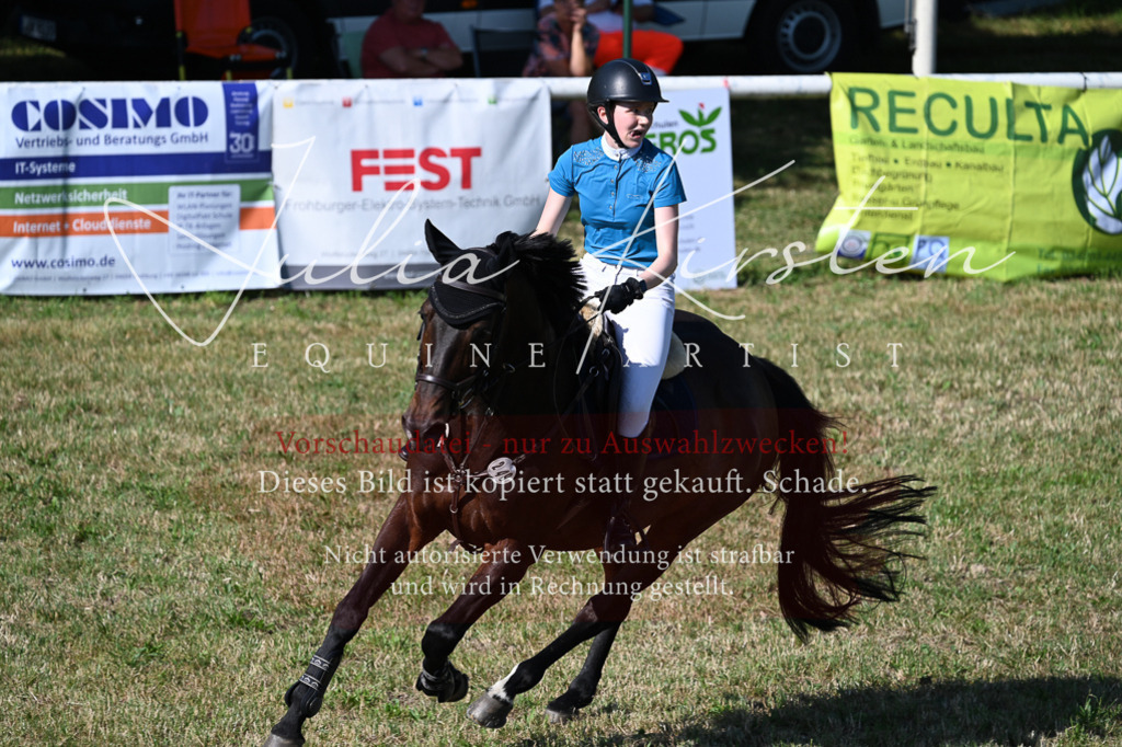 DSC_2380 | Pferde- und Turnierfotografie in Westsachsen. Pferdeportraits, Auftragszeichnungen und intuitive Kunst.