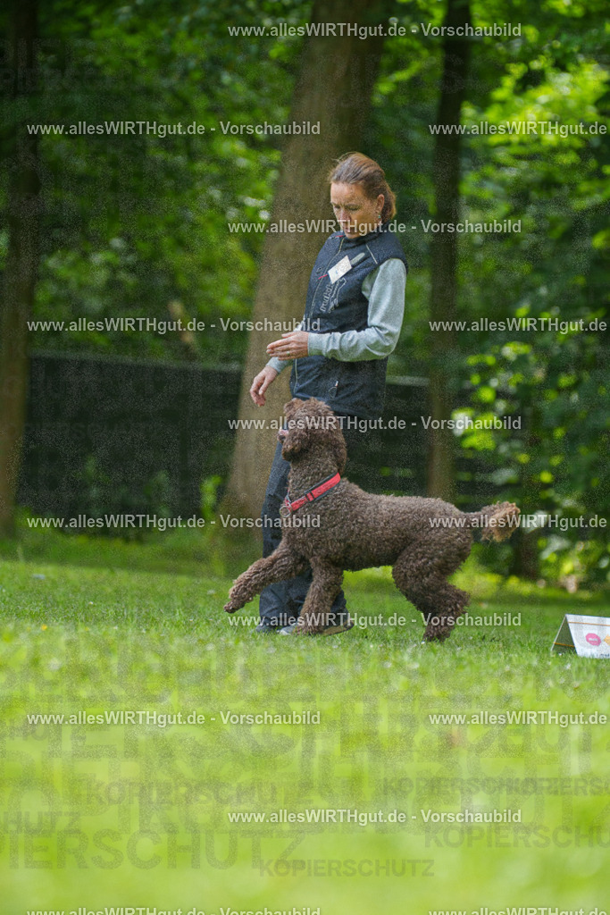 @allesWIRTHgut_Tierfotografie - www.allesWIRTHgut.de - 7R501071 | Professionelle Tierfotografie in Mönchengladbach von Daniel Wirth (allesWIRTHgut). Liebevolle & natürliche Bilder von Hunden & Katzen für unvergessliche Erinnerungen.