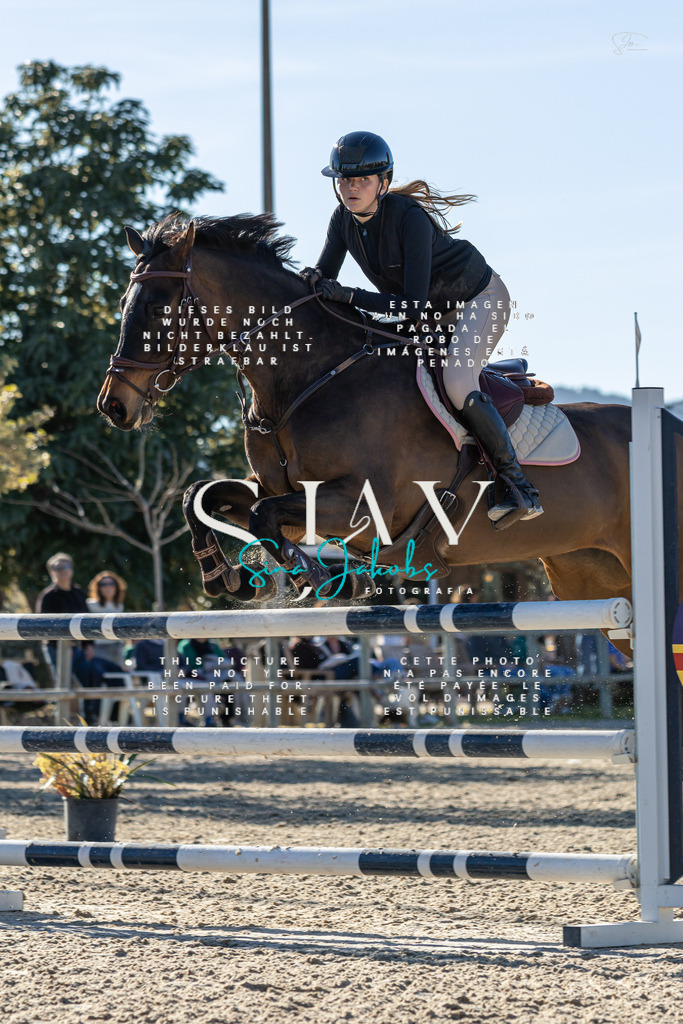 IMG_1979 | s-jay-photography - Realisiert mit Pictrs.com