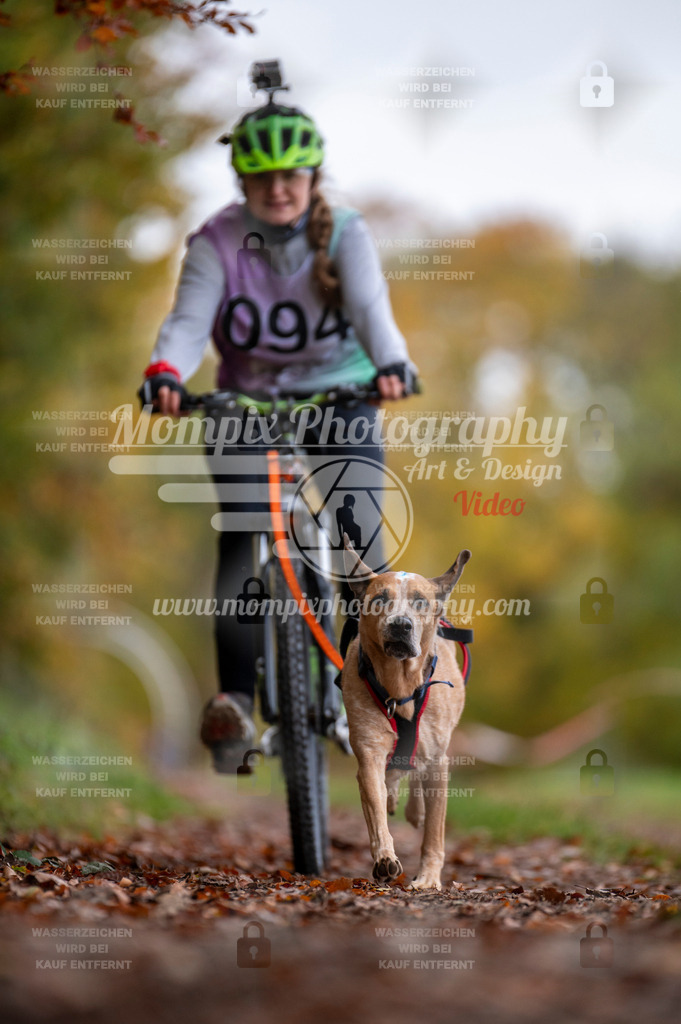 DBT_DAKM_SA_4_11_2023_Bike-40 | PayLife