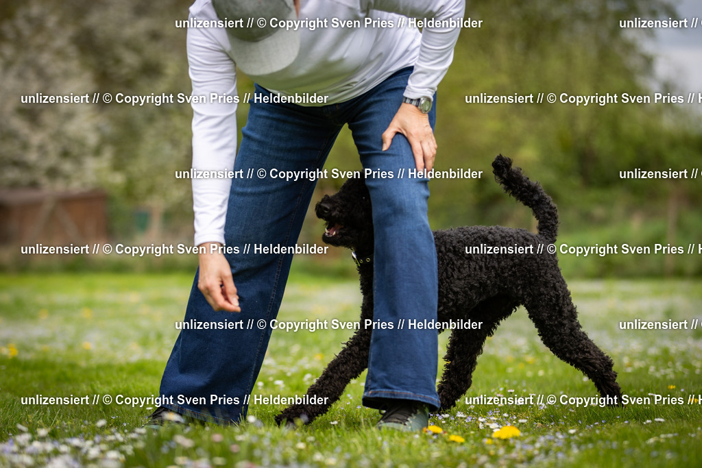 Sven Pries | 2025-04-13 - Hunderennen Baden-Baden - Realisiert mit Pictrs.com