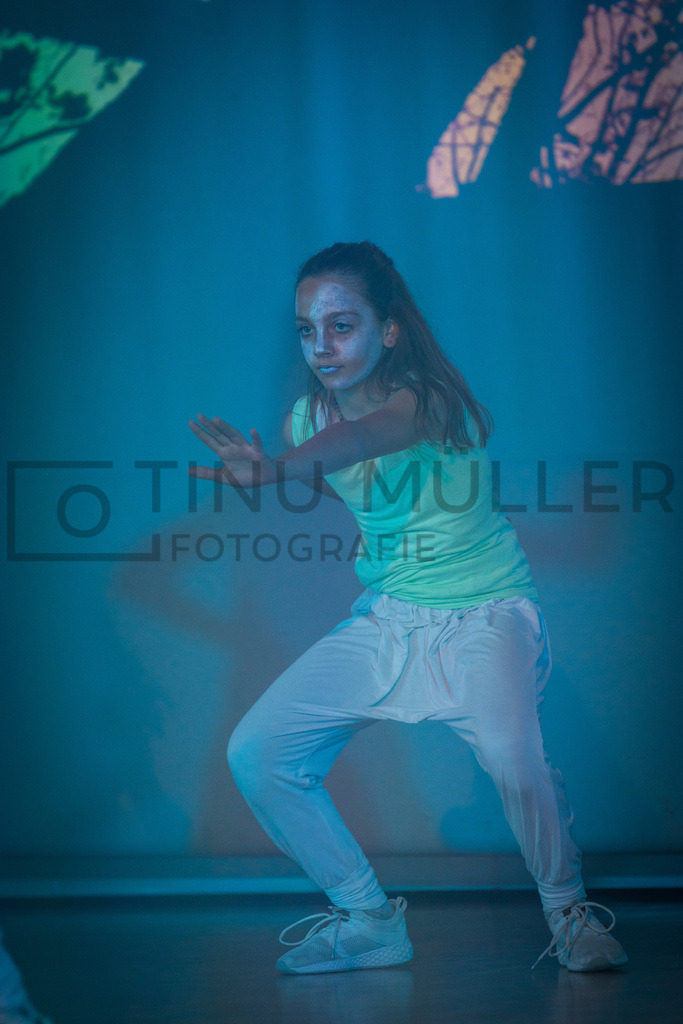 _DSC2252 | Tinu Müller Fotografie- Bildershop - Realisiert mit Pictrs.com