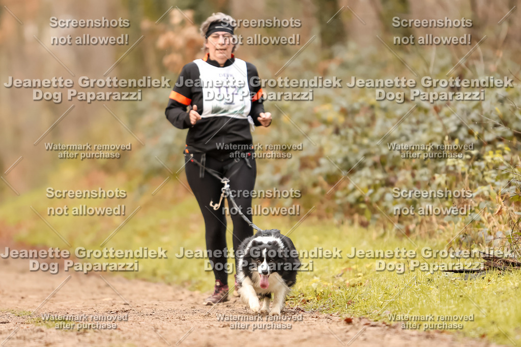 Dog Paparazzi - Speedhunter Mannheim  2025-303 | Dog Paparazzi Jeanette Grottendiek Fotografie & Videografie