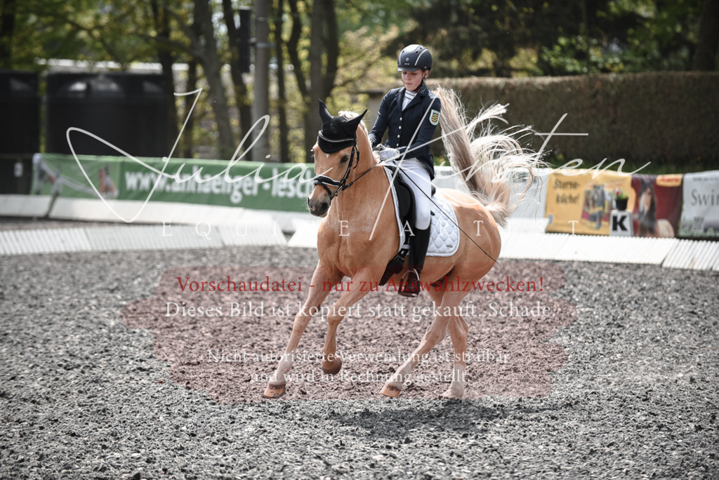 20230513_JK-Röhrsdorf-14-859 | Pferde- und Turnierfotografie in Westsachsen. Pferdeportraits, Auftragszeichnungen und intuitive Kunst.