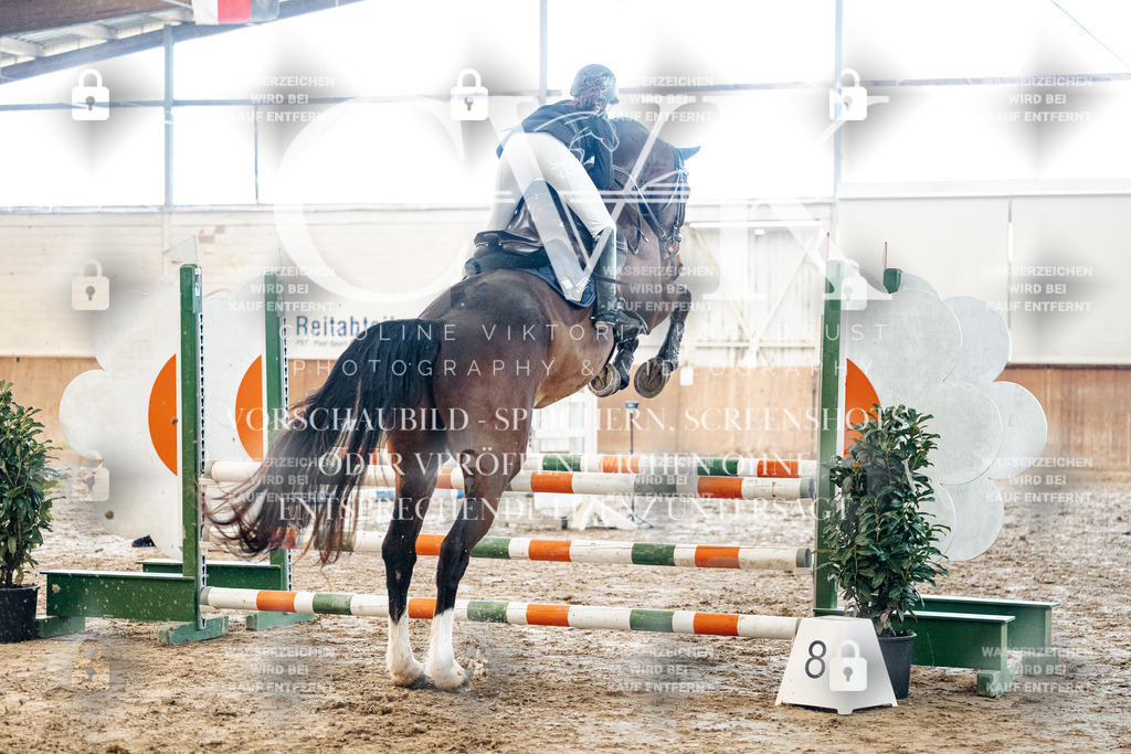 CK904450 | Turnierfotografie Pferdefotografie Trier Rheinland-Pfalz Pferdesport Reitsport Tierfotografie Sportfotografie Pferdevideo Pferdevideografie Equestrianvideography equestrianphotography  - Realisiert mit Pictrs.com