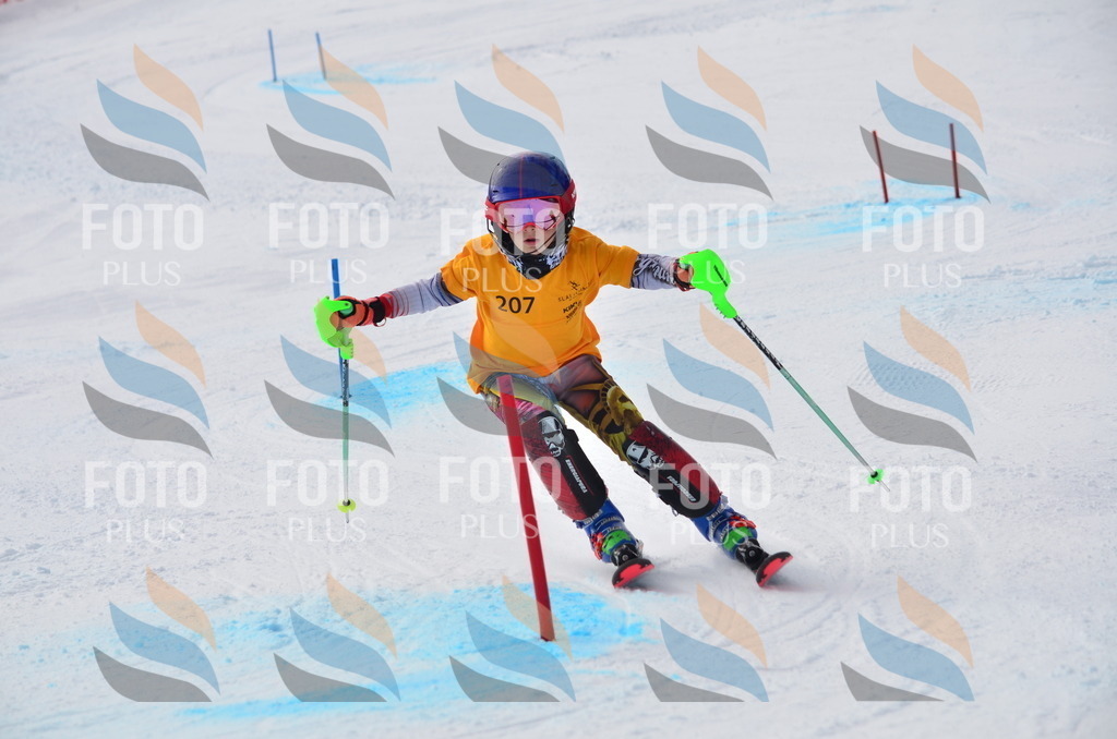 C8156 | holidayphoto