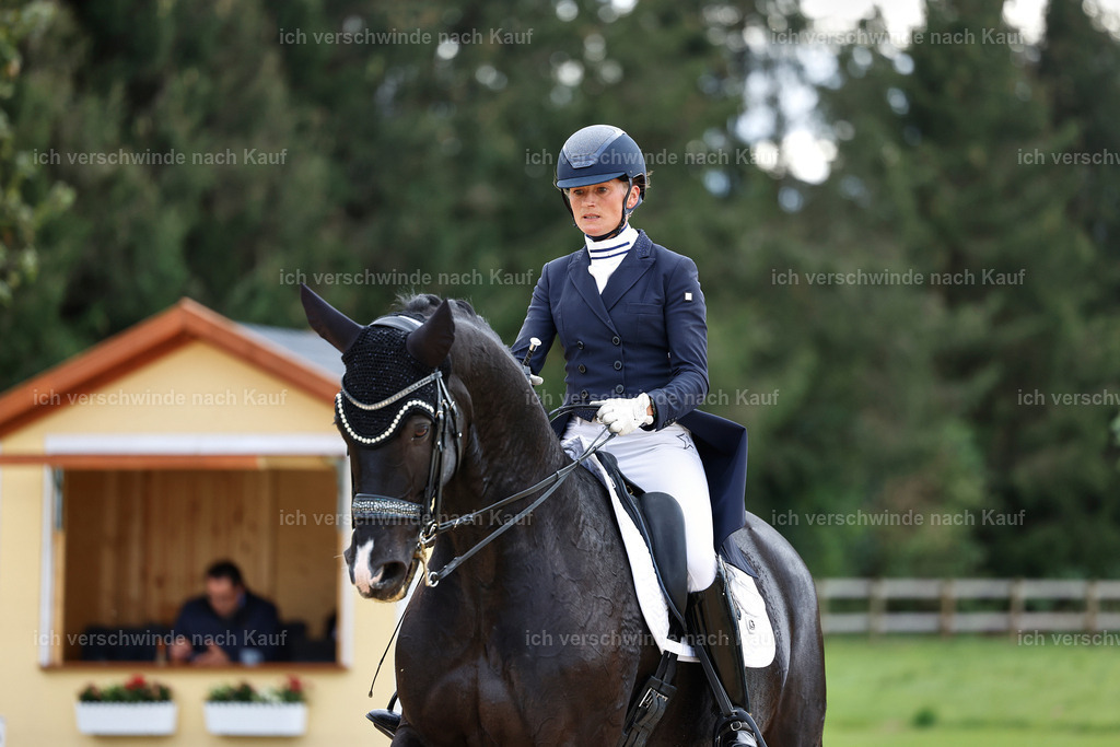 11-042-Dressur S___-StoibPH-1163 | working equitationturnier fotograf videograf stoibphotography marixx film working equitation deutschland reitsport turnierfotografie eventfotografie equestrian events