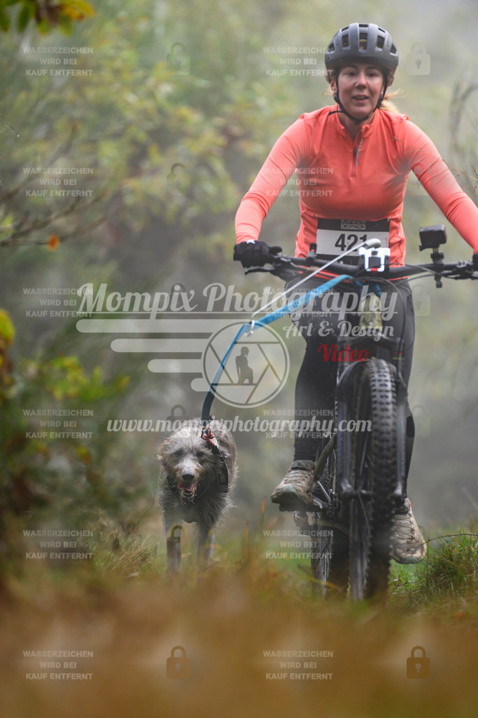 MompixPhotography_20TSB_E4_Bike-160 | PayLife