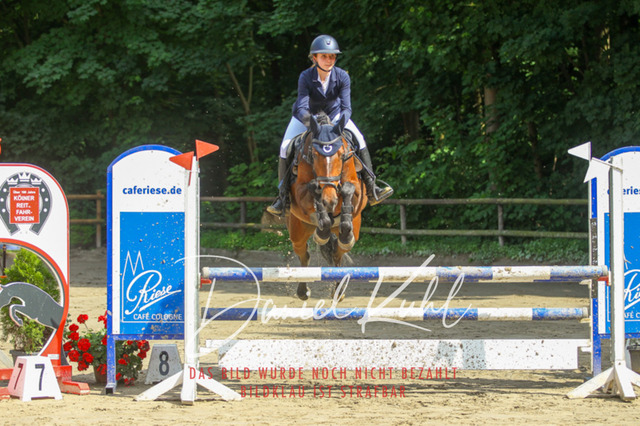 DKP45098 | Turniersportfotografie; Pferdefotografie; Dressurfotografie