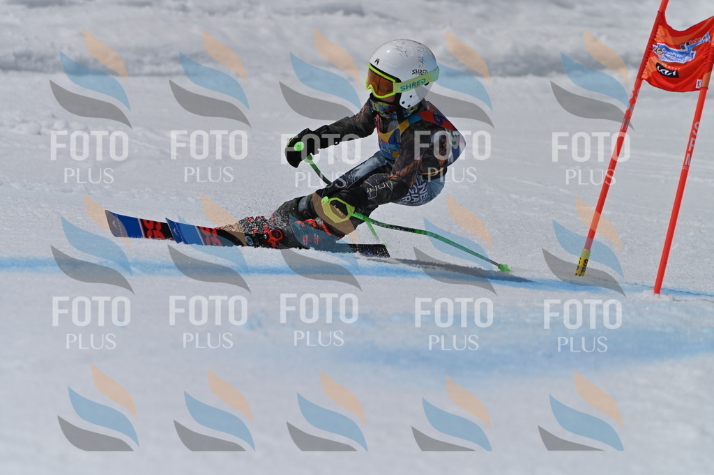 BGV_6965 | holidayphoto