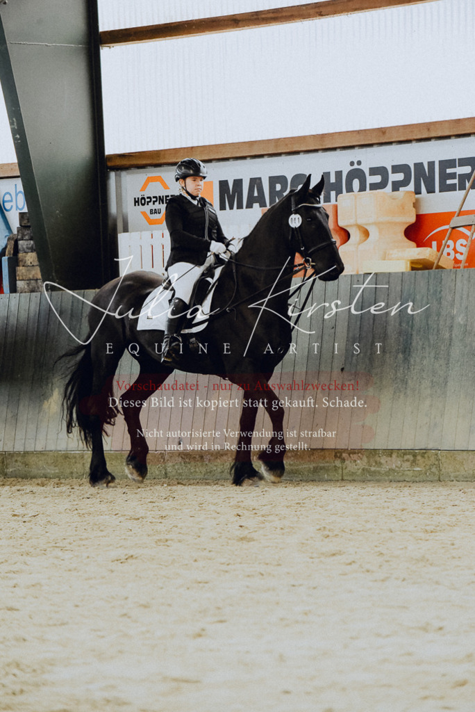 DSC_7214 | Pferde- und Turnierfotografie in Westsachsen. Pferdeportraits, Auftragszeichnungen und intuitive Kunst.