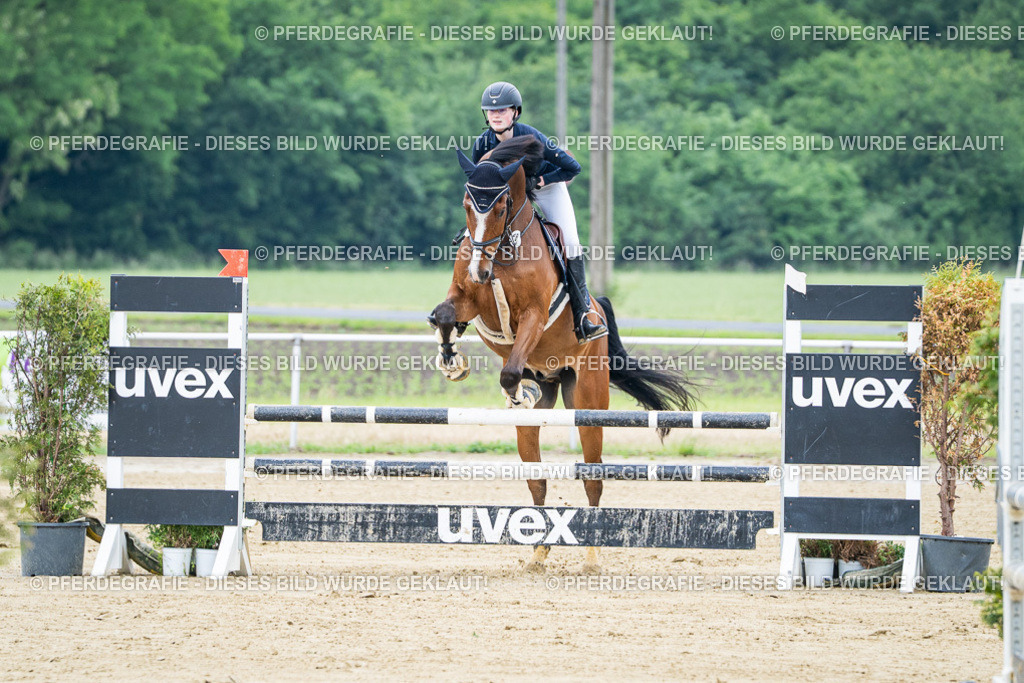 DSC03425 | Pferdegrafie