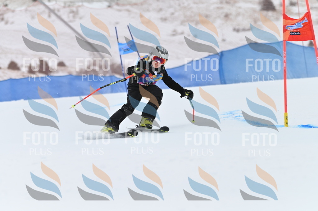 BGV_9658 | holidayphoto